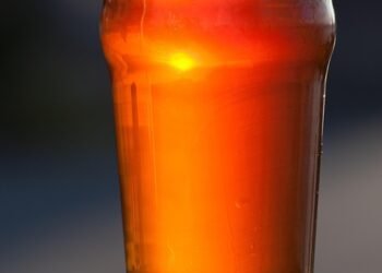 Drink Your Way Thin: How Low-Calorie Smoothies Boost Your Diet