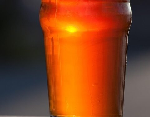 Drink Your Way Thin: How Low-Calorie Smoothies Boost Your Diet