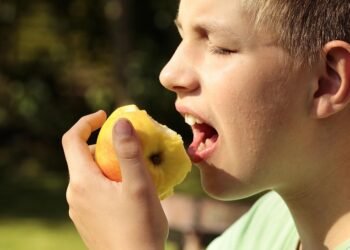 Bite Into Health: Delicious Low-Fat Air Fryer Recipes for Every Craving!