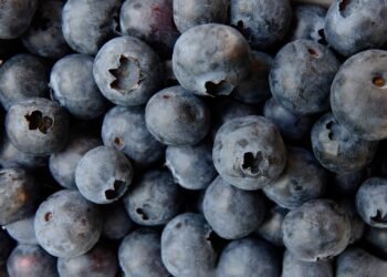 Healthy & Hearty: Nutritious Lunch Ideas That Don't Skimp on Flavor!