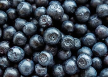 From Sweet to Savory: The Ultimate Air Fryer Snack Guide