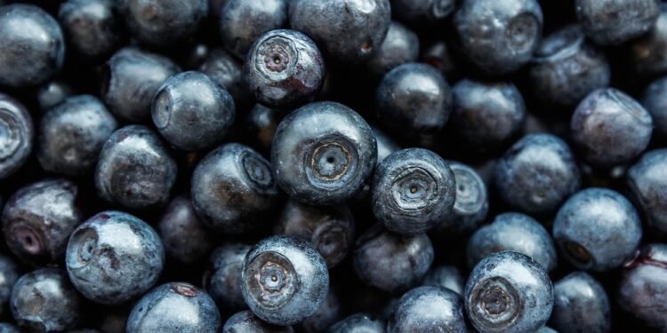 From Sweet to Savory: The Ultimate Air Fryer Snack Guide