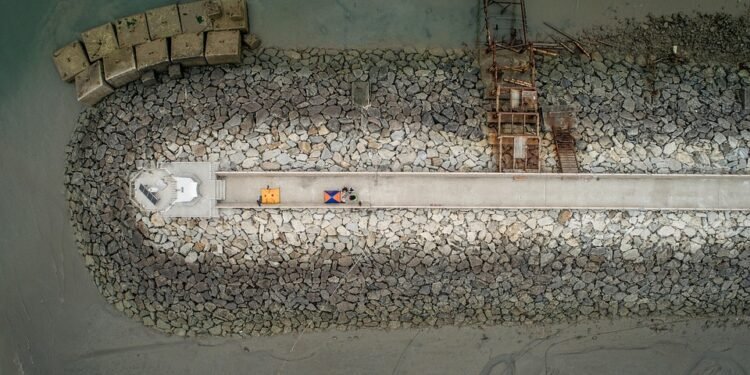 The Ultimate Guide to 20-Minute Meals for Busy Families