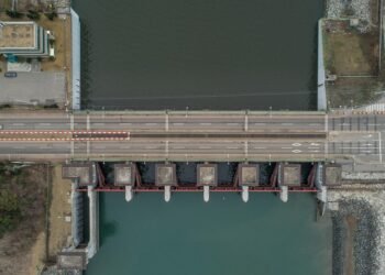 The Ultimate Smoothie Guide: Nutrient-Rich Recipes for Every Lifestyle!