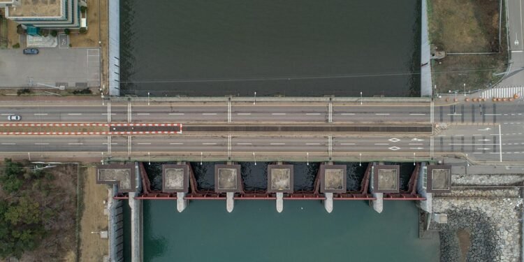 The Ultimate Smoothie Guide: Nutrient-Rich Recipes for Every Lifestyle!