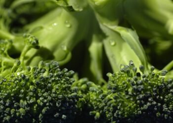 Detox Delight: Refreshing Smoothies to Cleanse and Revitalize