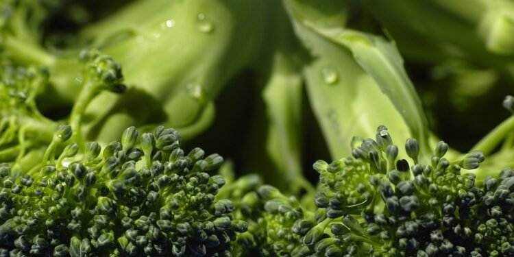 Detox Delight: Refreshing Smoothies to Cleanse and Revitalize