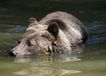 Feel free to mix and match or adjust them to better fit your target audience!