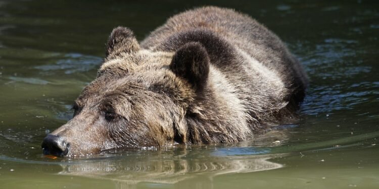 Feel free to mix and match or adjust them to better fit your target audience!