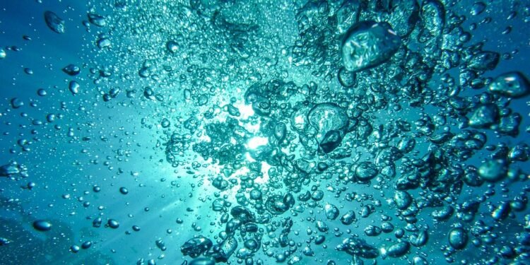 Air Fryer Revolution: Delicious Recipes That Make Cooking Fun and Fast