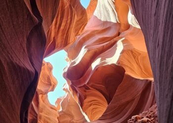 One-Pan Wonders: Effortless Lunch Ideas with Minimal Cleanup!