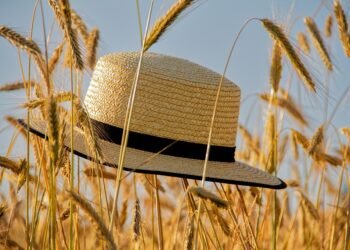 The Ultimate Summer Drink Guide: From Classics to Creative Cocktails