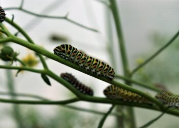 Transform Your Breakfast: Start Your Day with These 7 Paleo Recipes