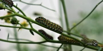 Transform Your Breakfast: Start Your Day with These 7 Paleo Recipes