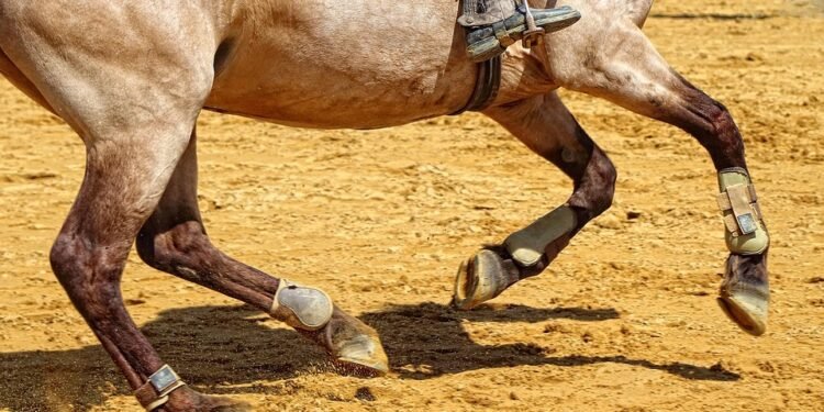 Quick Bites: Air Fryer Recipes for Delightfully Daring Dinners!
