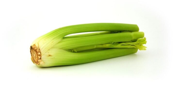 Veggie Lovers Unite: 7 Irresistible Air Fryer Recipes to Try Today!