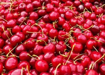 Fruity Favorites: Satisfying Smoothie Recipes to Aid Your Weight Loss Goals