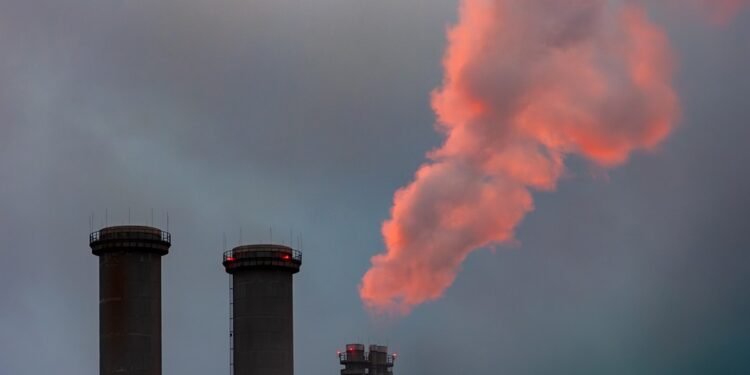 “Power Up Your Plate: Energizing Recipes for Optimal Health”