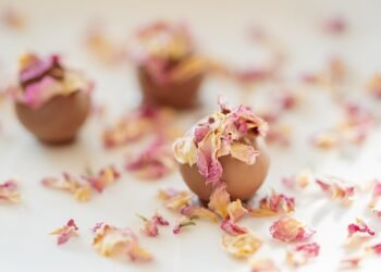 Decadent Delights: Exploring the World of Chocolate Desserts