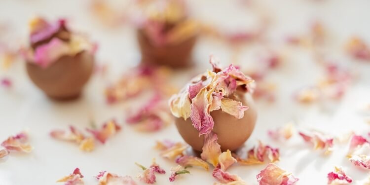 Decadent Delights: Exploring the World of Chocolate Desserts