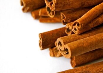 Savor the Flavor: Easy and Tasty Lunch Recipes for Every Palate