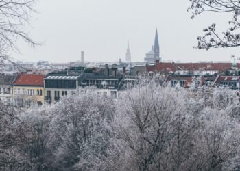 “Chill Out with These Irresistible Summer Mousse Recipes”