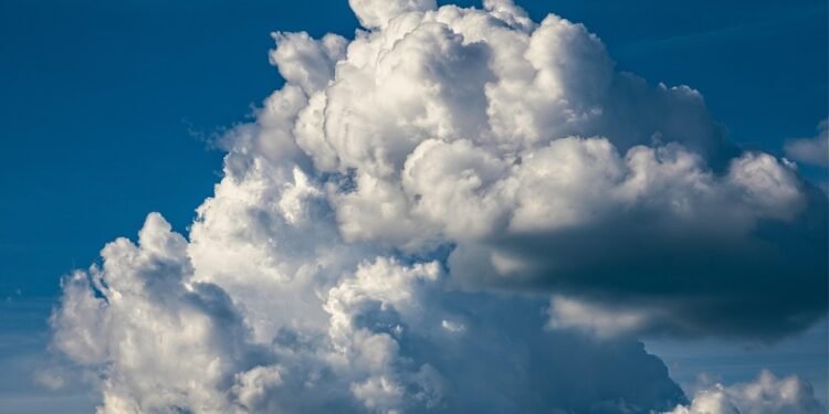 10 Air Fryer Meals Ready in 30 Minutes or Less!