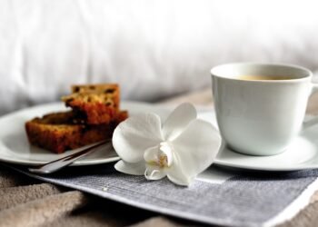 The Breakfast Smoothie Revolution: Healthy Recipes for Every Taste