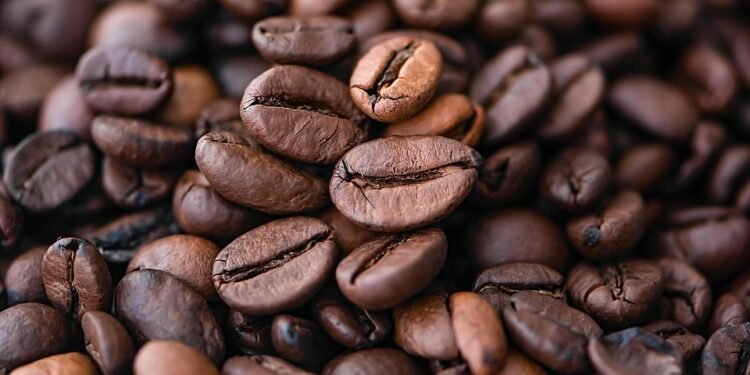 Savor the Taste of the Ocean: Air Fryer Fish Recipes That Wow