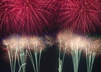 Color Your Plate: Rainbow Lunch Recipes for Optimal Nutrition