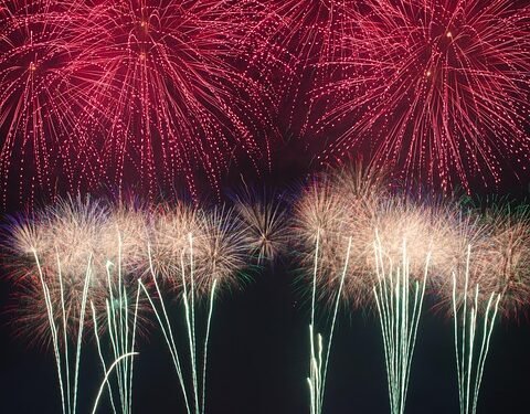 Color Your Plate: Rainbow Lunch Recipes for Optimal Nutrition