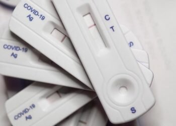 Quick and Delicious: Simple Meals in 30 Minutes or Less