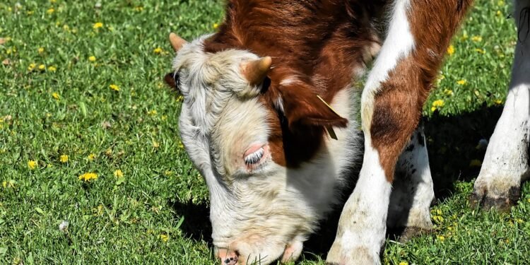 Satisfy Your Sweet Tooth: 15 Irresistible Dessert Ideas You’ll Love