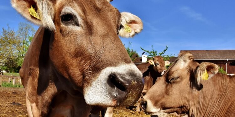 Satisfy Your Cravings: 10 Healthy Comfort Food Recipes to Warm Your Heart