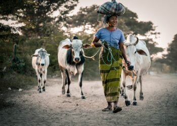 Simple Swaps: Transform Your Favorite Dishes into Low-Carb Delights