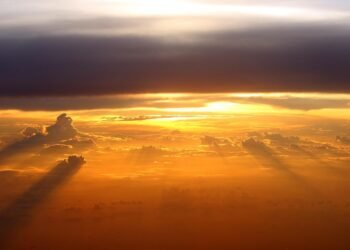 The Ultimate Guide to Easy Dinners: Quick Recipes for Delicious Nights!