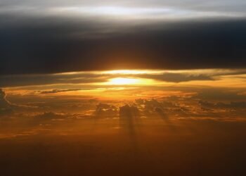 The Ultimate Guide to Nutritious Snacking: Ideas for Every Lifestyle