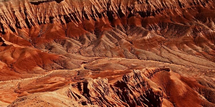 One-Touch Wonders: Quick and Healthy Air Fryer Dinners for Busy Nights