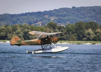 Ditching Dairy: How to Make the Creamiest Vegan Smoothies