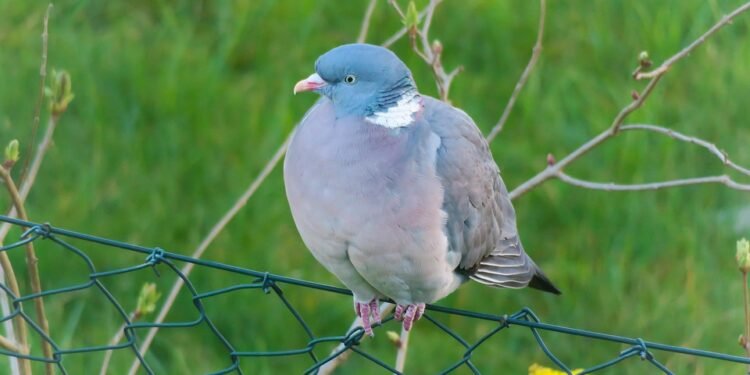 Mindful Sips: How to Make Healthy Drinks a Part of Your Routine