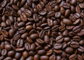 Guilt-Free Gourmet: Easy Recipes for Delicious Healthy Eating