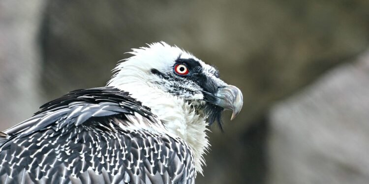 Sip Away Toxins: How Detox Smoothies Can Transform Your Health