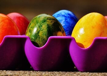 Colorful & Creamy: Explore the World of Vegan Smoothie Bowls