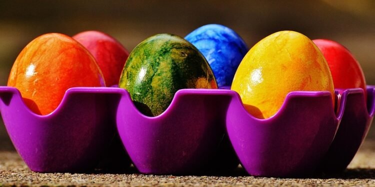 Colorful & Creamy: Explore the World of Vegan Smoothie Bowls