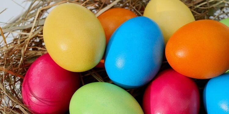 Colorful Plates: Creative Meal Prep Ideas to Brighten Your Week