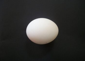 Beyond the Basics: Creative Gluten-Free Recipes for Health-Conscious Cooks