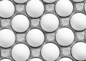 Healthy and Tasty: Unlocking the Power of Your Air Fryer!