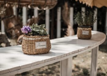 Seasonal Greens: How to Use What’s Fresh in Your Smoothies