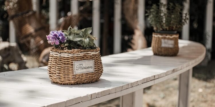 Seasonal Greens: How to Use What’s Fresh in Your Smoothies