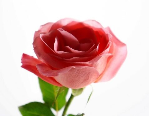 Feel free to mix and match ideas or adjust them to better fit your style!